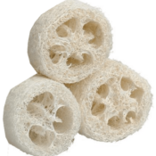 Loofah en tranches, Compagnie du bicarbonate