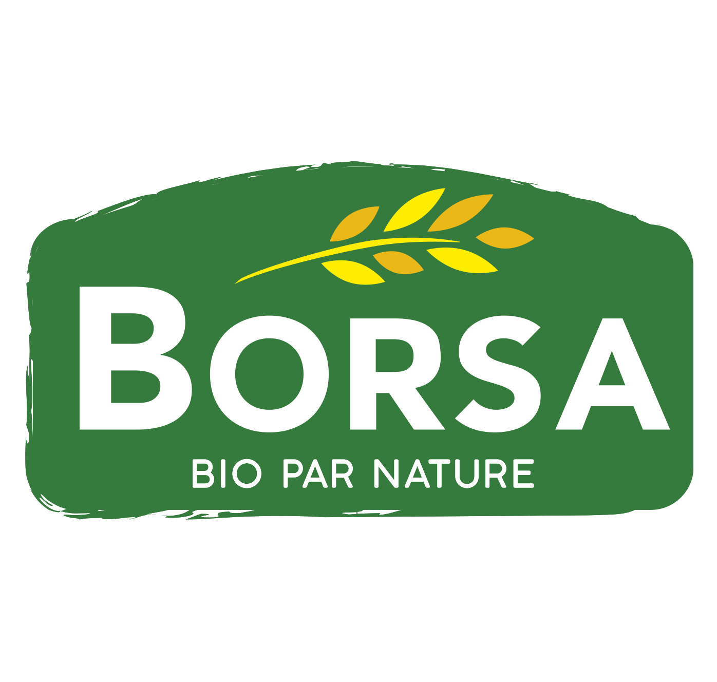 Borsa