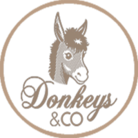 Donkey